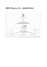 Magna Vis — Gold Medal (2025)